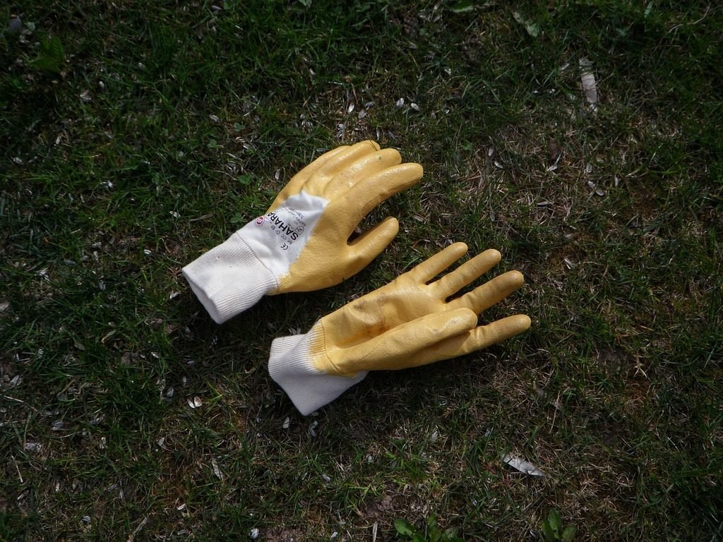 Read more about the article Best Professional Gardening Gloves For Pulling Thistles And Thorns