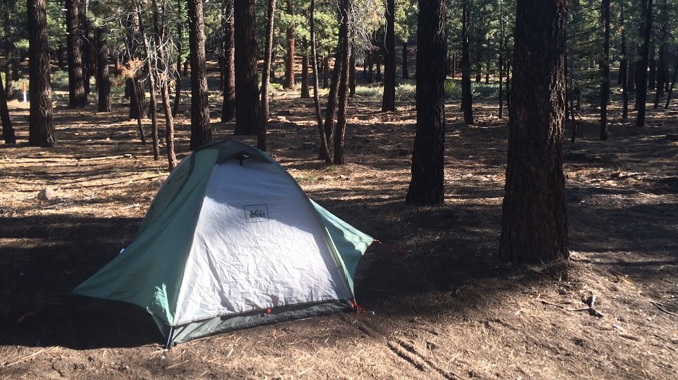 shady place in campground